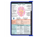 WhiteCoat Clipboard® - Blue Neurology Edition